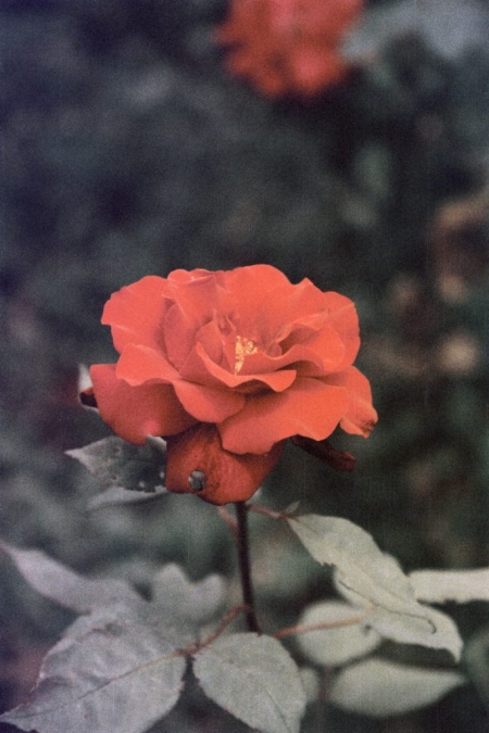 ../blogimage/ta/20250430_113904/20250430_113904_1.jpg