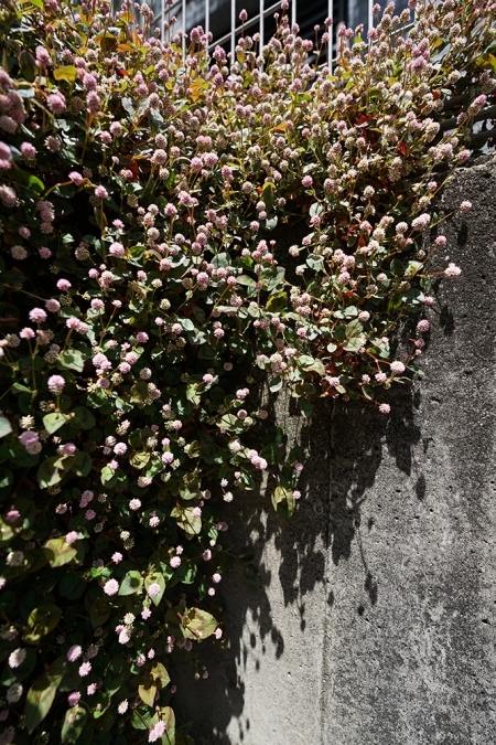 ../blogimage/ta/20250503_114031/20250503_114031_2.jpg