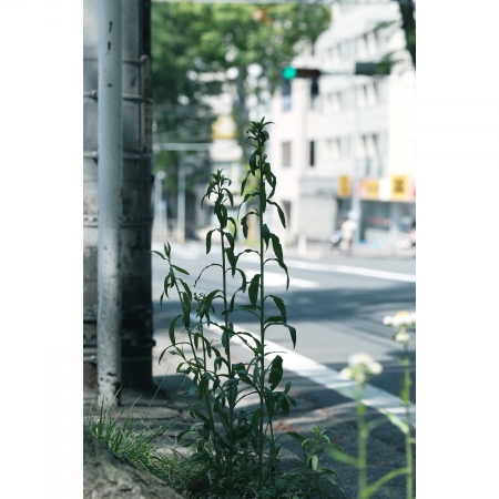 ../blogimage/ta/20250504_143355/20250504_143355_1.jpg
