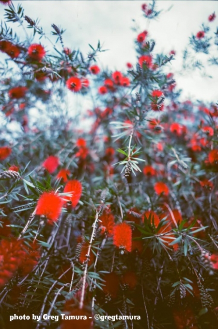 ../blogimage/ta/20250507_130236/20250507_130236_3.jpg
