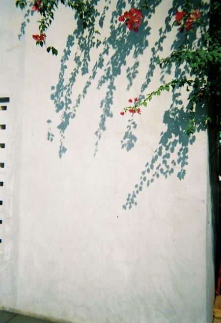 ../blogimage/ta/20250510_124214/20250510_124214_3.jpg