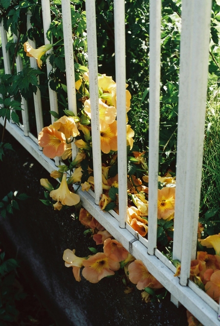 ../blogimage/ta/20250524_141455/20250524_141455_2.jpg