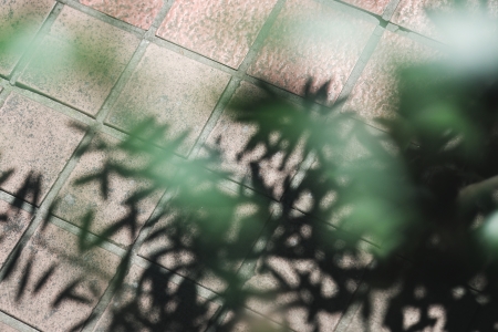 ../blogimage/ta/20250618_124652/20250618_124652_3.jpg