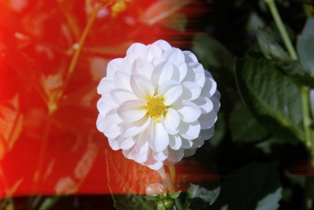 ../blogimage/ta/20250620_133657/20250620_133657_1.jpg