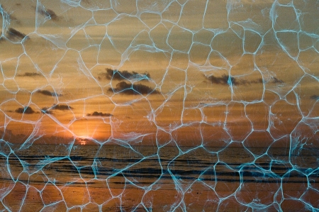 ../blogimage/ta/20250726_134645/20250726_134645_1.jpg