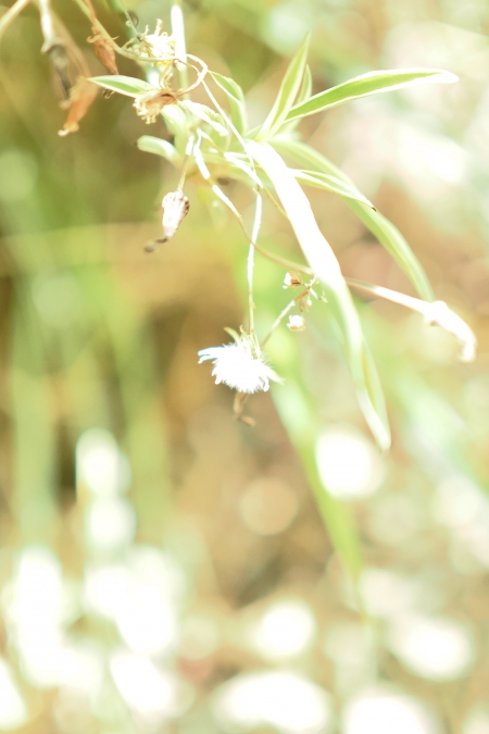 ../blogimage/ta/20250731_101732/20250731_101732_2.jpg