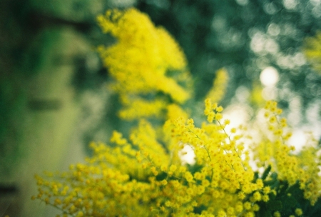 ../blogimage/ta/20250801_113848/20250801_113848_2.jpg