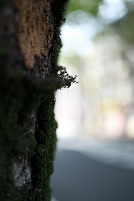 ../blogimage/ta/20250806_180334/20250806_180334_2.jpg