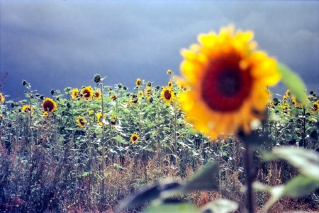 ../blogimage/ta/20250829_084812/20250829_084812_1.jpg
