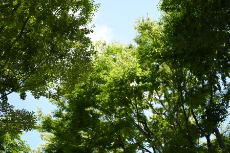 ../blogimage/ta/20250829_121401/20250829_121401_2.jpg