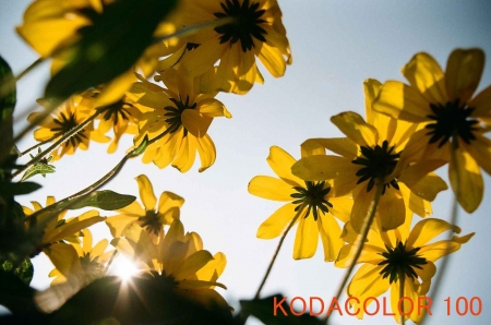 ../blogimage/ta/20251006_165328/20251006_165328_1.jpg