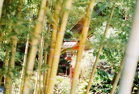 ../blogimage/ta/20251015_144313/20251015_144313_2.jpg