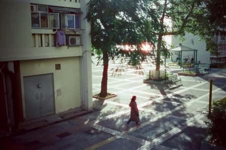 ../blogimage/ta/20251017_104048/20251017_104048_1.jpg