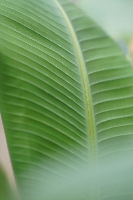 ../blogimage/ta/20260503_112234/20260503_112234_1.jpg