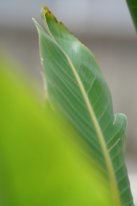 ../blogimage/ta/20260607_115944/20260607_115944_1.jpg