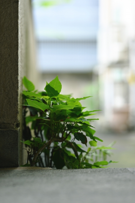 ../blogimage/ta/20260703_125356/20260703_125356_1.jpg