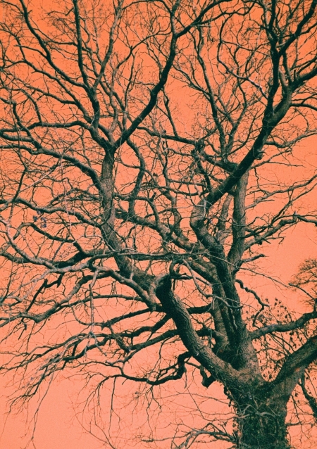 ../blogimage/ta/20260728_142907/20260728_142907_1.jpg