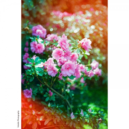 ../blogimage/ta/20260808_140101/20260808_140101_2.jpg