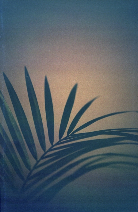 ../blogimage/ta/20260811_103101/20260811_103101_2.jpg