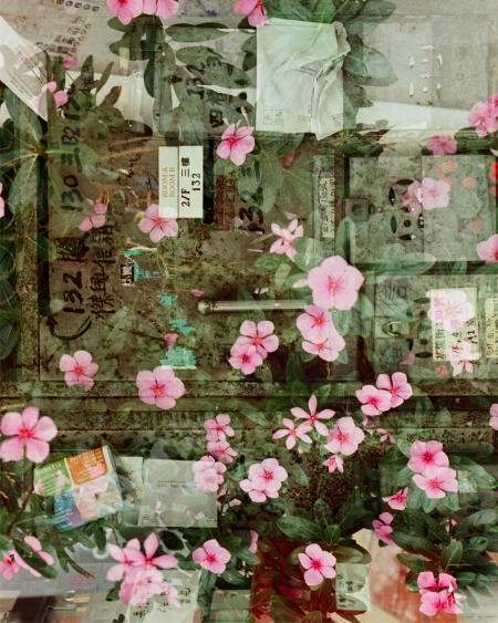../blogimage/ta/20260814_114010/20260814_114010_2.jpg