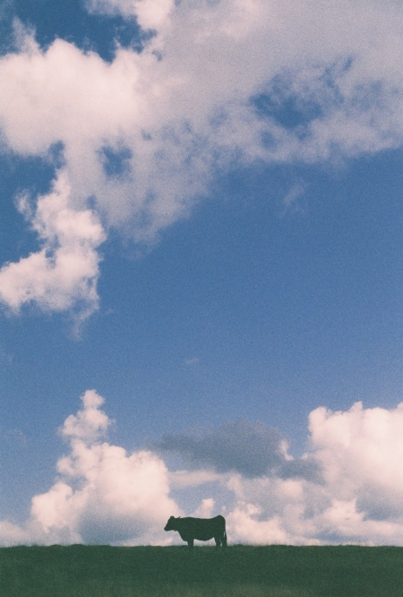 ../blogimage/ta/20260815_113816/20260815_113816_1.jpg