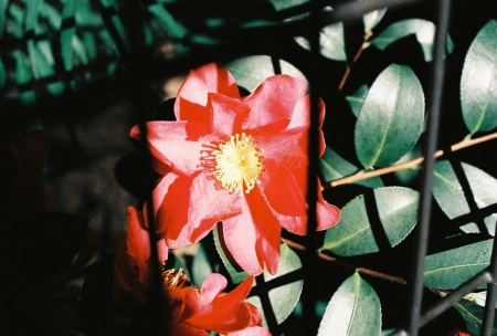 ../blogimage/ta/20260822_101036/20260822_101036_1.jpg