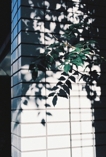../blogimage/ta/20260822_101036/20260822_101036_2.jpg