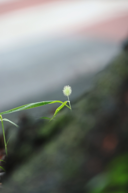 ../blogimage/ta/20260911_140901/20260911_140901_1.jpg