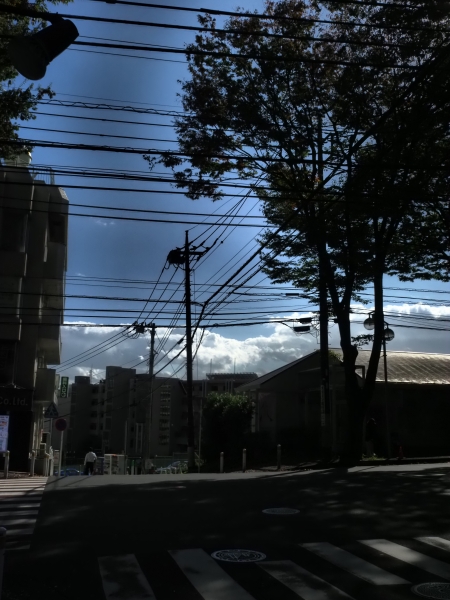 ../blogimage/ta/20261015_100914/20261015_100914_1.jpg