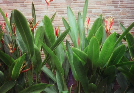 ../blogimage/ta/20261015_140201/20261015_140201_1.jpg
