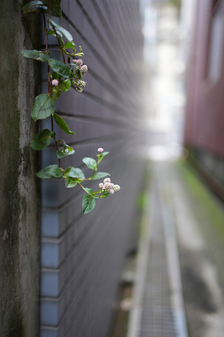 ../blogimage/ta/20261027_171230/20261027_171230_1.jpg